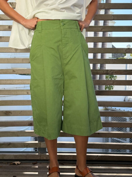 The Explorer Shorts